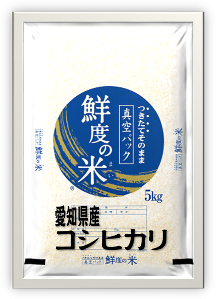 愛知県産　コシヒカリ　無洗米　5kg 真空パック　