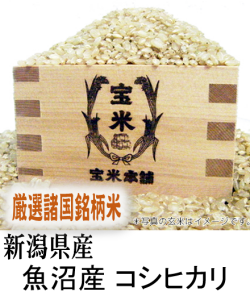 令和６年産　キヌヒカリ　小米とくず米 Amazon.co.jp: 新潟県産 キヌヒカリ 白米 5kg 令和6年産 : 食品
