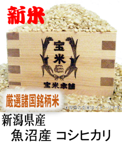 令和7年産　新潟県産　魚沼産　コシヒカリ（玄米1Kg）