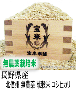 令和6年産　長野県産　北信州 栽培期間中無農薬 献穀米　コシヒカリ（玄米1Kg）