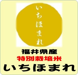 令和７年産　福井県産　いちほまれ 特別栽培米　（玄米1ｋｇ）