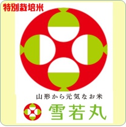 令和7年産　山形県産　特別栽培米　雪若丸（玄米1kg）