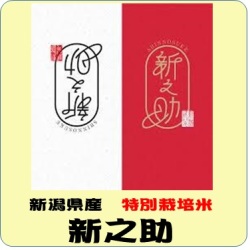 令和7年産　新潟県産　新之助　特別栽培米（玄米1ｋｇ）