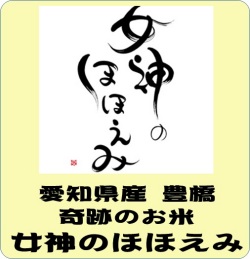 令和6年産　愛知県産　女神のほほえみ（玄米1ｋｇ）　