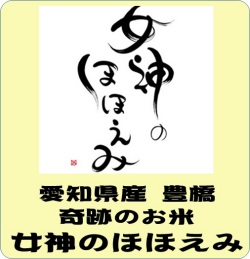 令和5年産　愛知県産　女神のほほえみ（玄米1ｋｇ）　