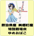 令和6年産　秋田県産　美郷町産　特別栽培米　箱入り娘ゆめおばこ（玄米1ｋｇ）