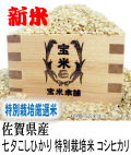 新米　令和7年産　佐賀県産　特別栽培米　白石七夕コシヒカリ　（玄米1Kg）　