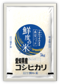 愛知県産　コシヒカリ　無洗米　5kg 真空パック　