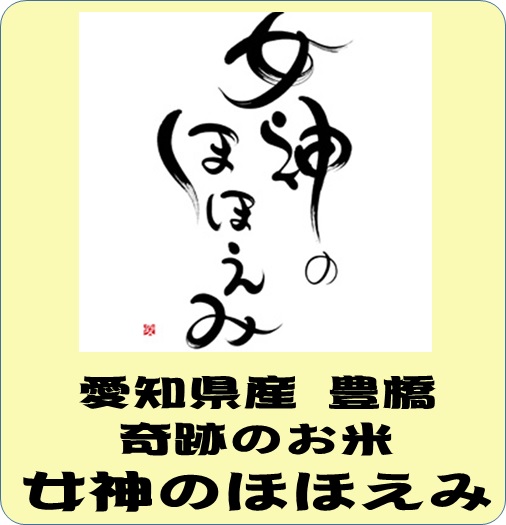 令和6年産　愛知県産　女神のほほえみ（玄米1ｋｇ）　