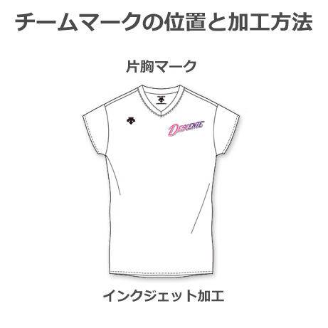 デサント】【QUICK100-2】DSS5420B チームマーキング付きプラクティス