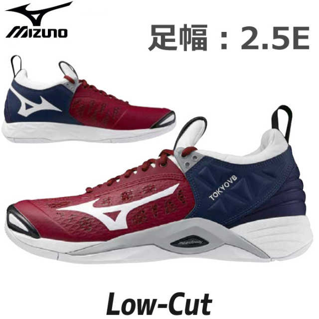 【ミズノ】バレーボール　オーダーシューズ　WAVE MOMENTUM Type【LOW】（23.0～31.0、32.0）【納期：2カ月半強～】
