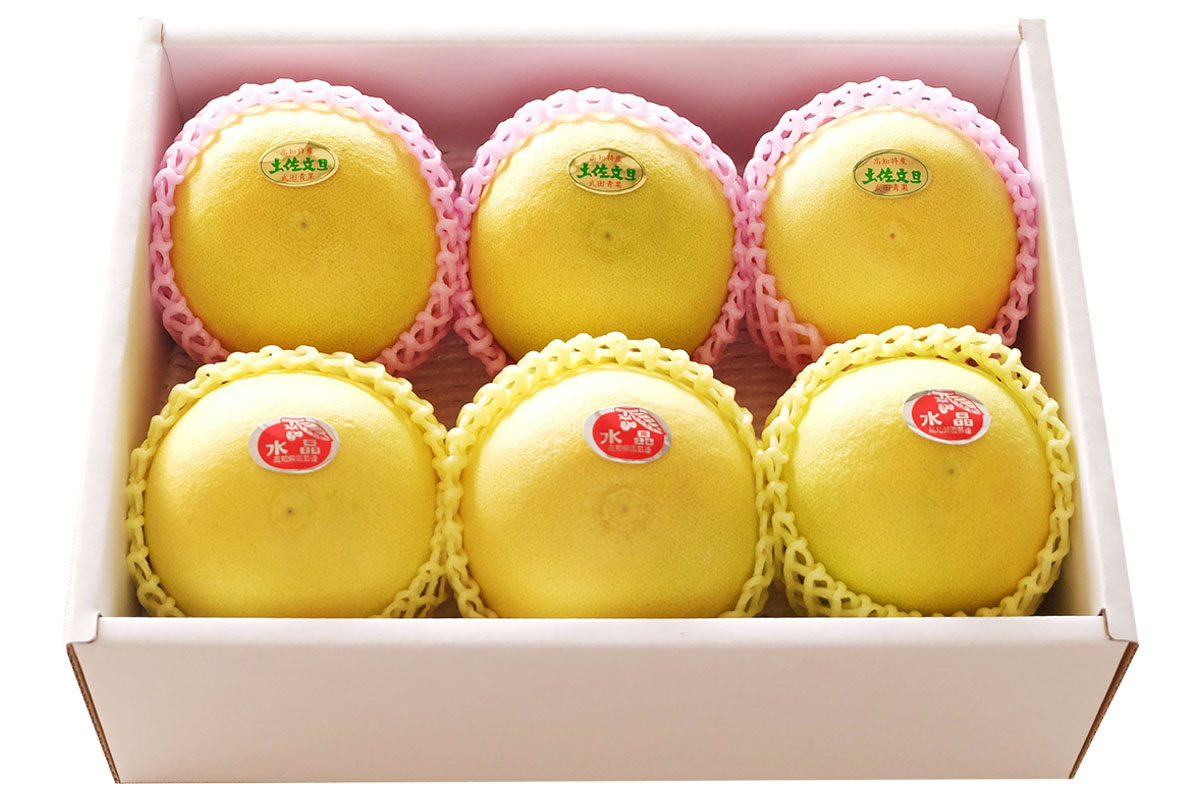 温室土佐文旦＆水晶文旦