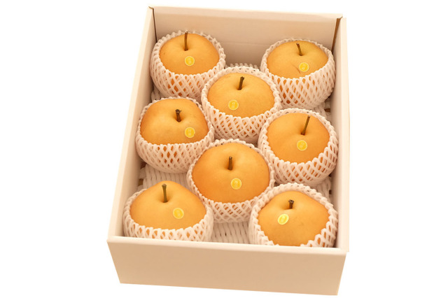 土佐豊水梨　4Ｋ