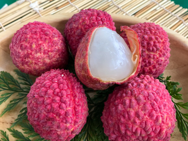 【88】生ライチ【大玉化粧箱入り】  約0.5kg （約１２玉入り）
