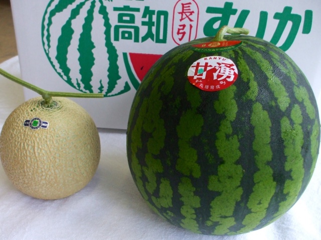 長引すいか＆メロンの通販