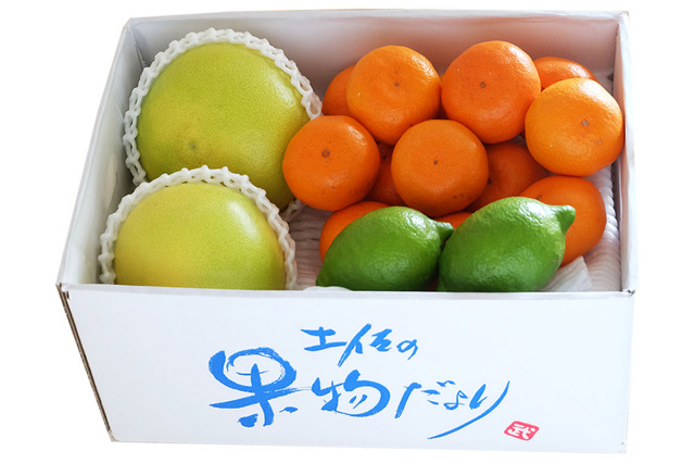 陽だまりセット