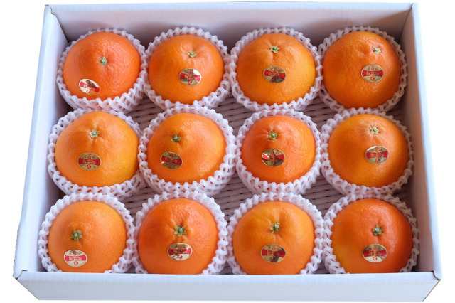 紅まどんな　化粧箱入り