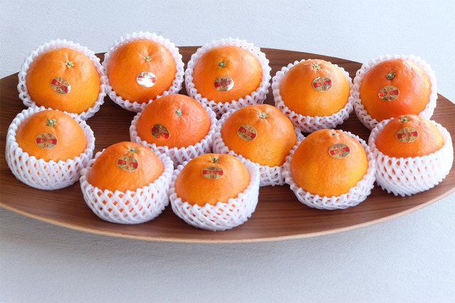 紅まどんなの通販