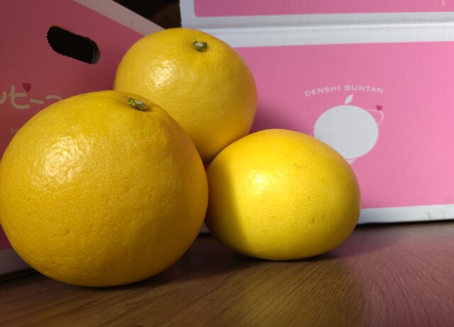 数量限定！電子文旦(露地栽培) 【特上贈答品】約5kg（2L〜3Lサイズ×約8〜10玉入り）