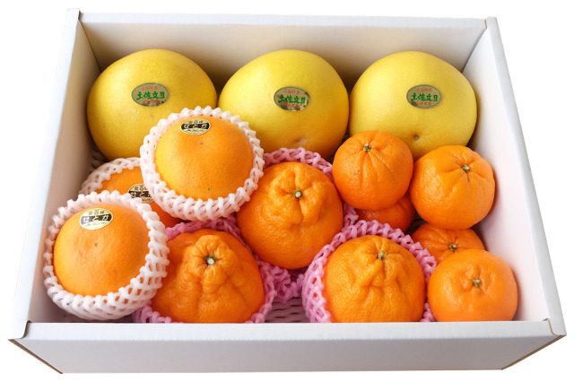 【週末限定価格❗️】sumika グッズ　まとめ売り　6点 せとかの通販 高知県 くだものならL+武田青果〜Fruit L+Takeda〜