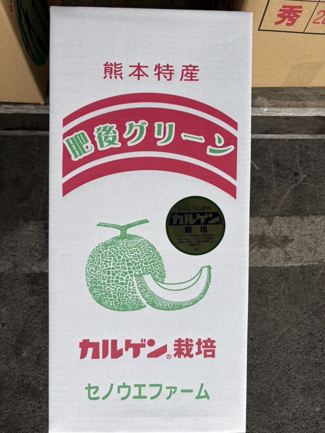 肥後グリーン