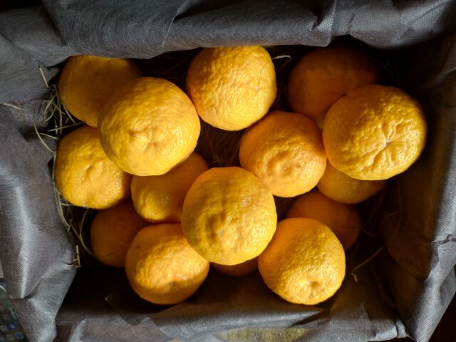 3001円から5000円の商品