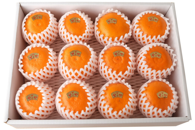 【26】高知産せとか【特上贈答品】約3kg(2Lサイズ×約12玉入り) 高知せとか