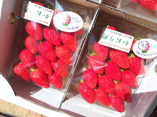 もんちゃんのいちご