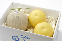 フルーツセット（土佐文旦＆エメラルドメロン）