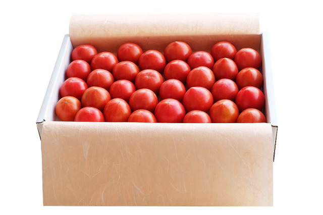 【65】徳谷トマト【特上贈答品】約0.8kg(約12玉~25玉入り) 徳谷トマト71番52番 土佐和紙