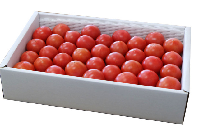 甘熟フルーツトマト【特上品】約1.3kg(約20~40個入り) フルーツトマトの通販