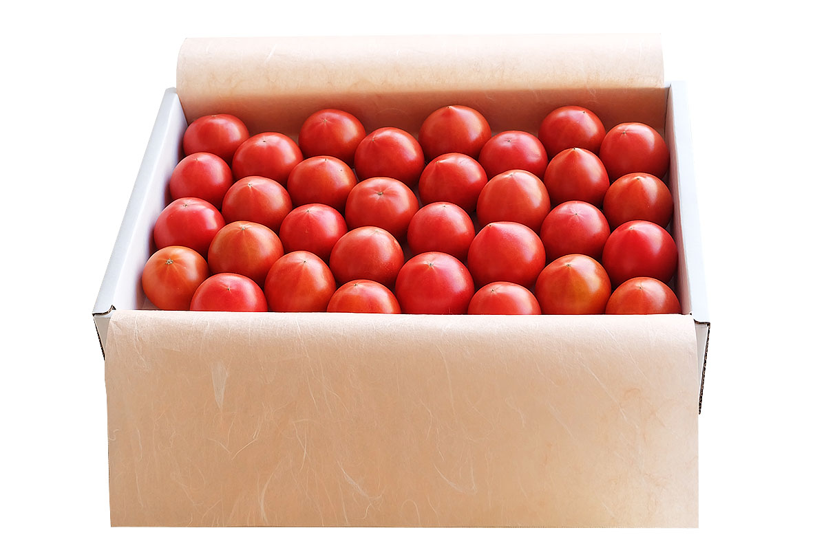 徳谷トマト71番52番　土佐和紙