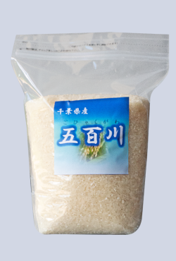 【令和8年産】　五百川 2kg