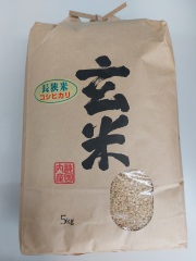 玄米