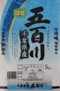 【令和7年産】　五百川 5kg