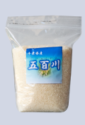 【令和8年産】　五百川 2kg
