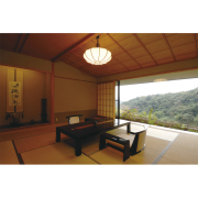 【宿泊券】 観音温泉ピグマリオン 特別室