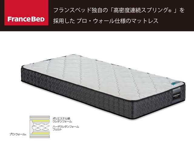 フランスベッド （5877 枕 フランスベッド グリーンティ
