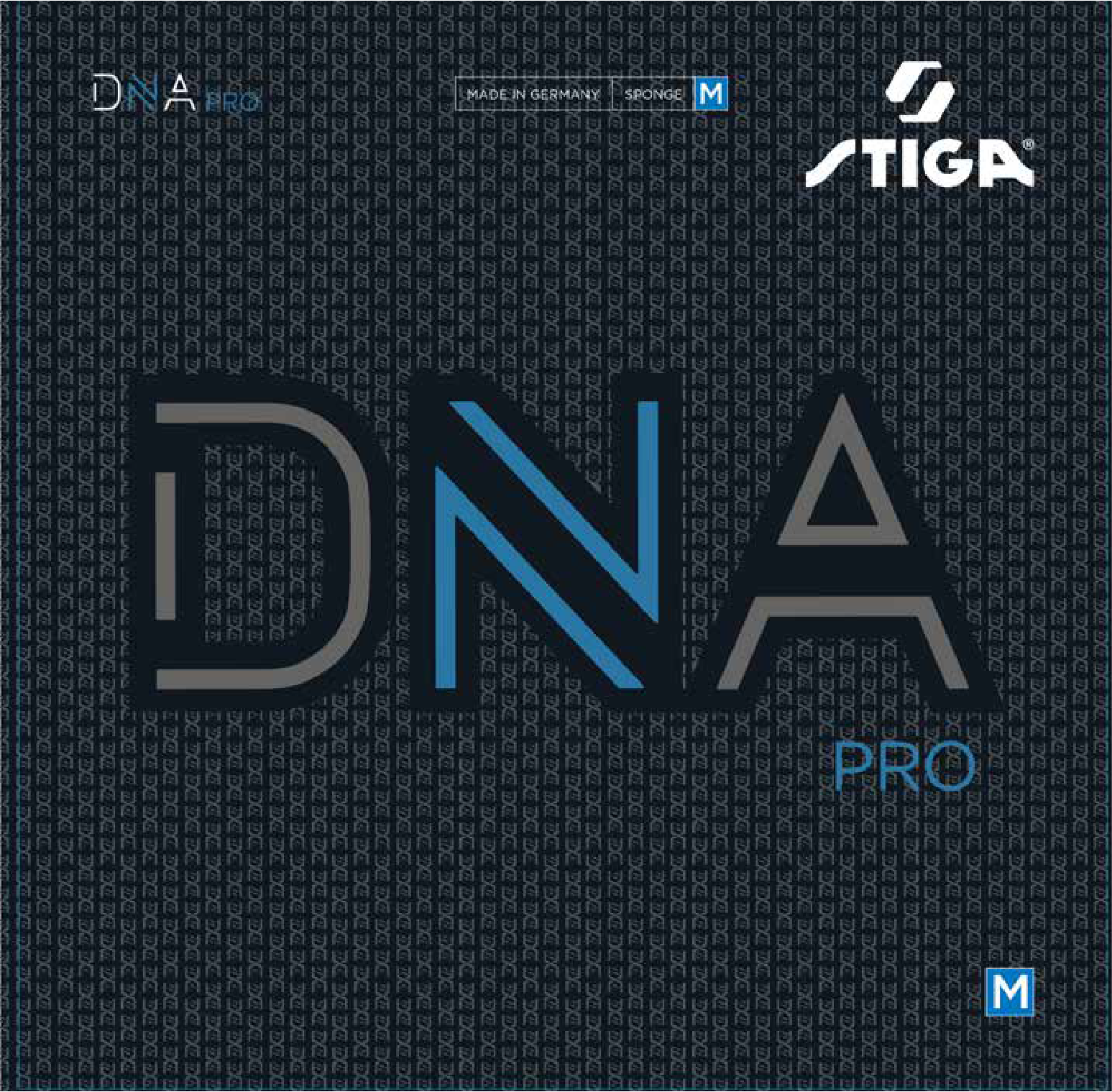 DNAプロM