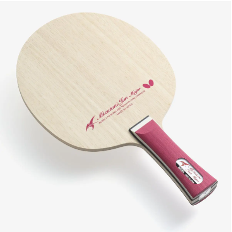 水谷隼 メジャー