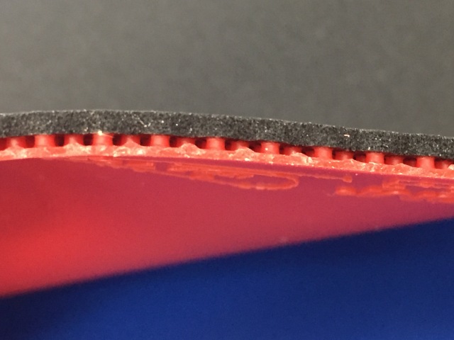 ヴェガシートスポンジ