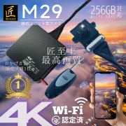 M29