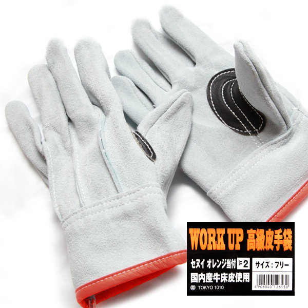 WORK UP ��������