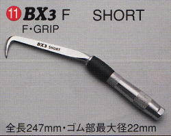 BX3