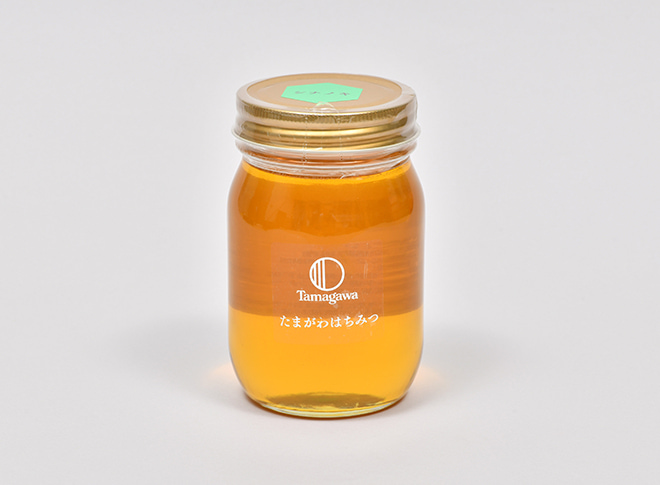 たまがわはちみつ　シナノキ　500g（品切中）