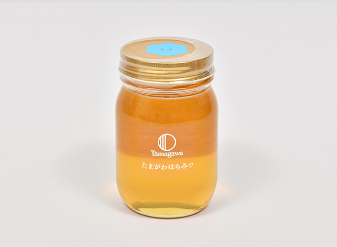 たまがわはちみつ トチ 500g