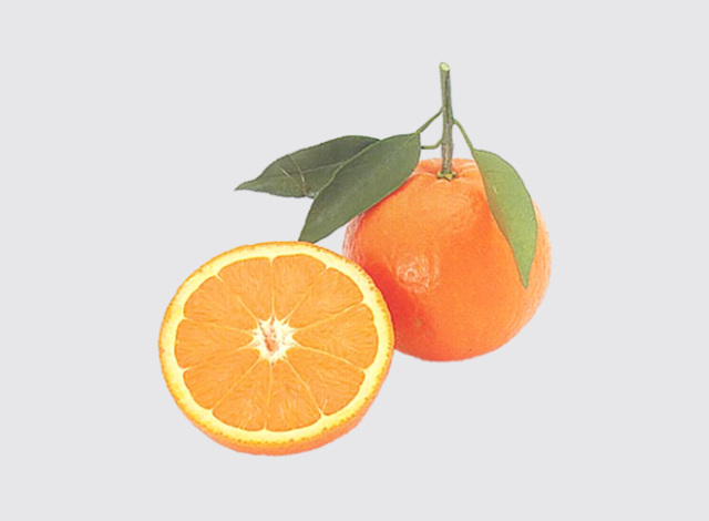 玉川のたんかん