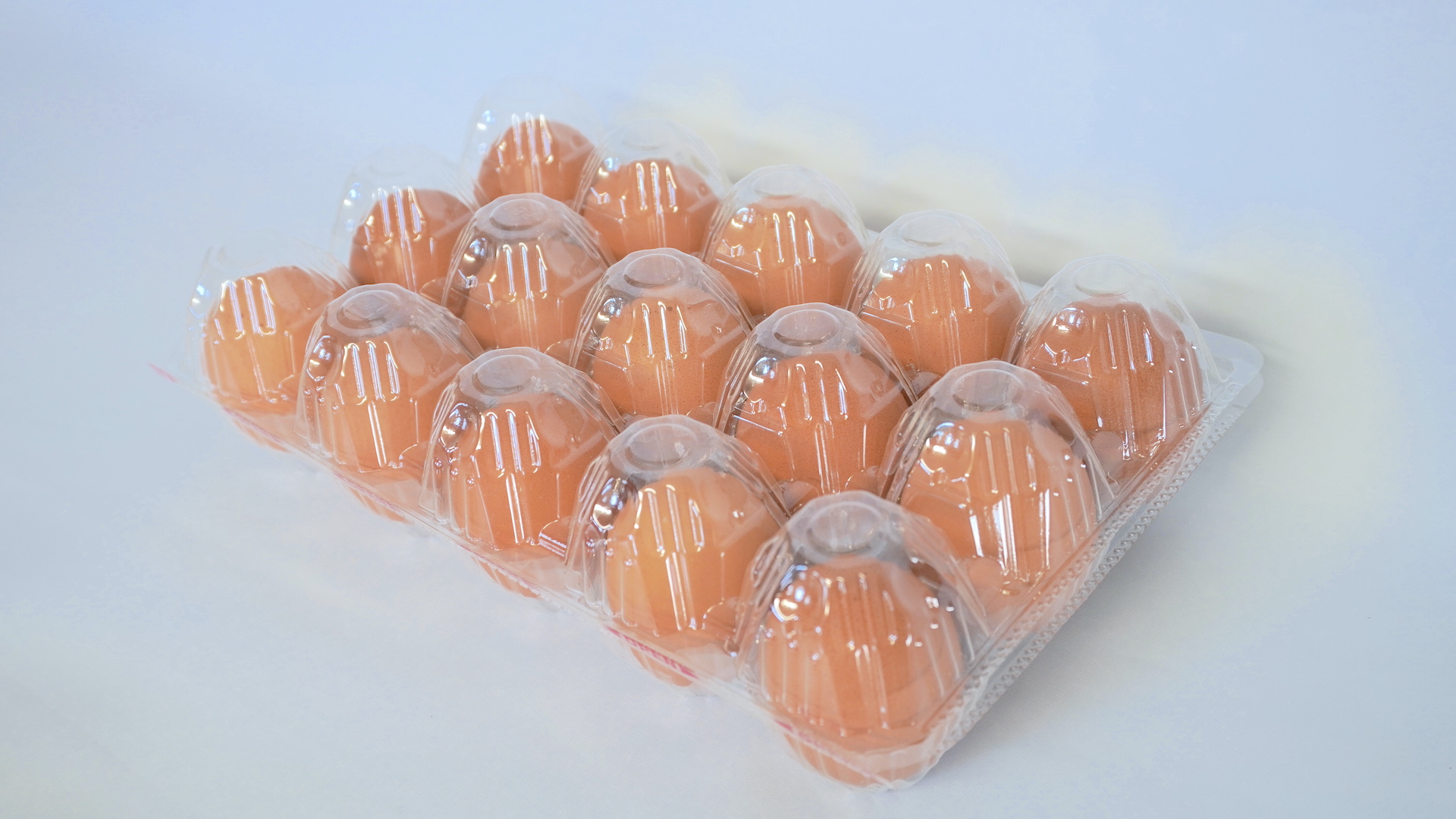 15個入パックLL 特厚 たまご資材館