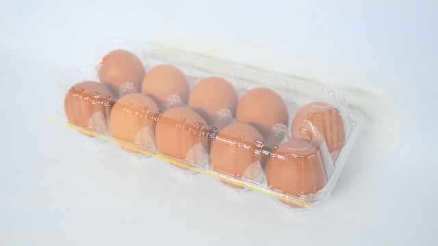 10個入インナーフラットL