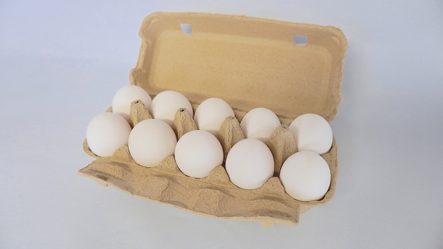 10個入モールドパック ブラウン